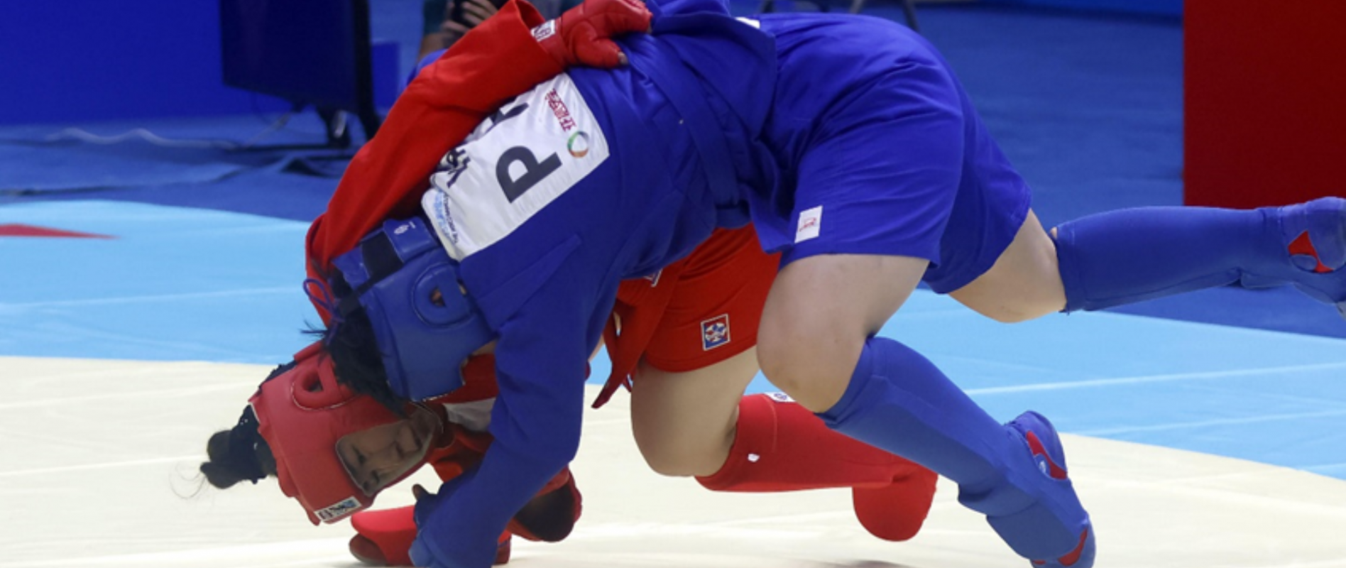 Banner image