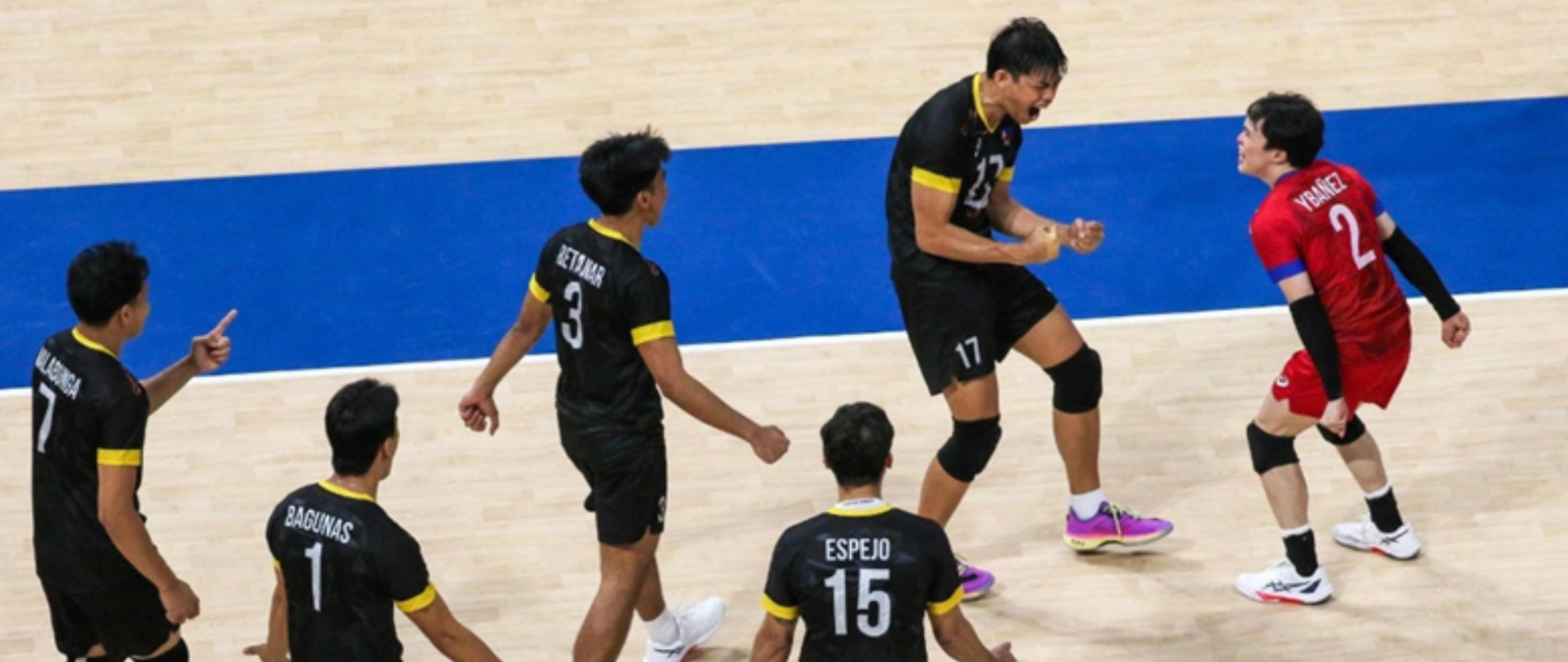 Banner image